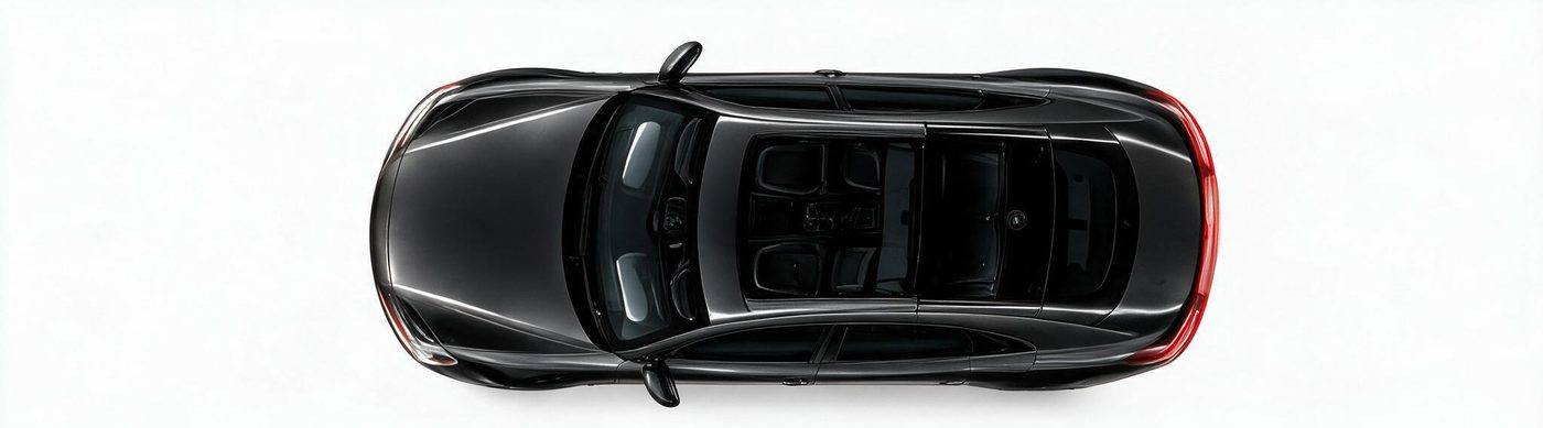 Top-down view of car showing PPF coverage zones